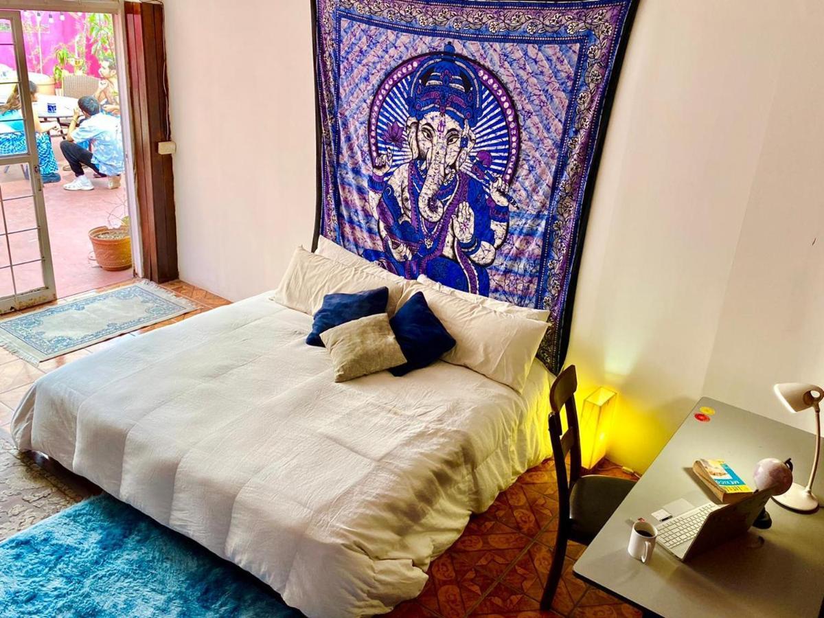 Free Spirit Hostel Guadalajara Dış mekan fotoğraf