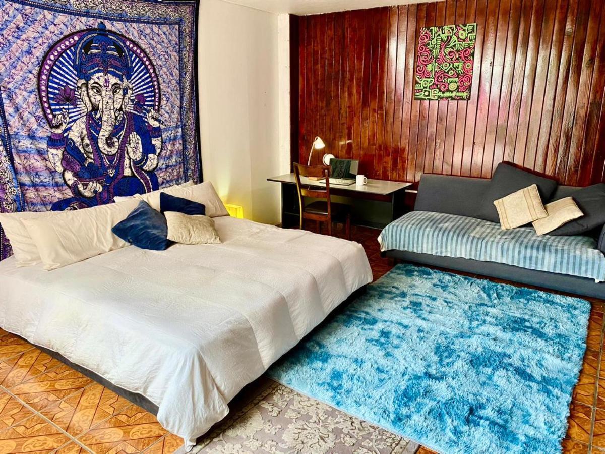 Free Spirit Hostel Guadalajara Dış mekan fotoğraf